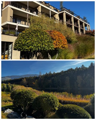 Das Hotel Seehof Nature Retreat. Der Aussenbereich mit Pool und Naturteich